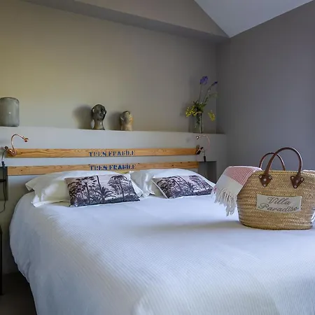 B&B Paradiso Charme&design Adults Only 아르쿠아타 스크리비아